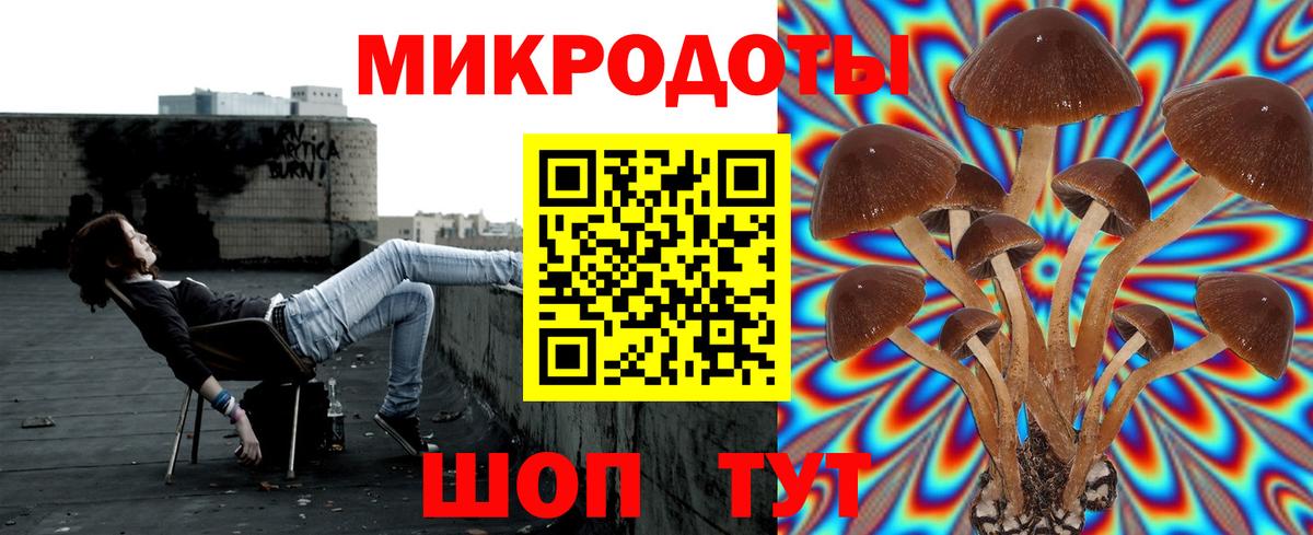 что такое   Псилоцибиновые грибы мухоморы  Вход с VPN  Южно-Сахалинск 